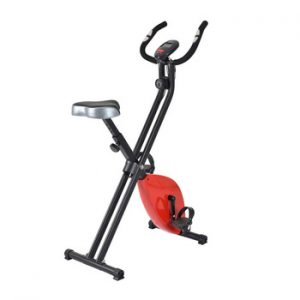 maxfit magnetic bike