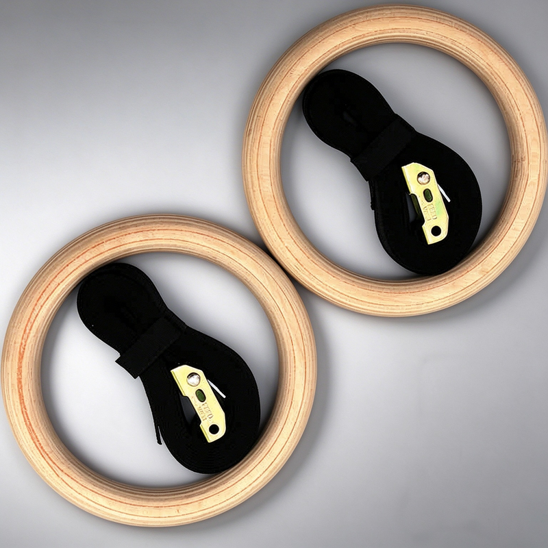 Gym Rings (2)